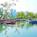 750709-1-1-jpg-1200x600-2