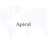 apical-1